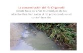 La contaminación del río Chigorodó