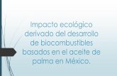 Impacto Ecológico de los Biocombustibles Basados en el Aceite de Palma.