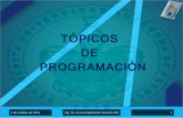 Presentación "Tópicos de programación"