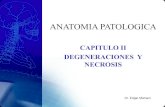 Anatomia patologica 97