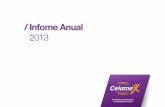Informe anual-2013