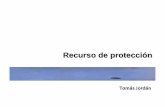 Derecho Constitucional I Chile: Acción de protección