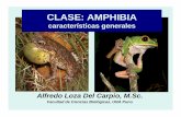 Clase amphibia zoo 2014 UNA- PUNO