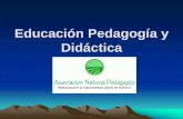 ASOCIACION NATURAL PEDAGOGICA " EDUCACION Y PEDAGOGIA"