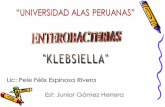 Universidad alas peruanas