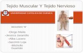 Tejido muscular y tejido nervioso