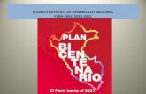 Plan bicentenario-jesus ccuno choque