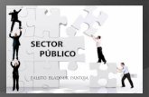 Sector publico eco