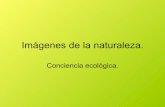 Imágenes De La Naturaleza Ecologia