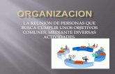 Exposicion diseño organizacional