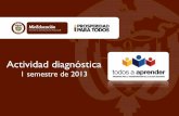 Presentación actividad diagnóstica 2013