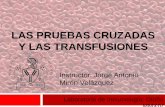 Las pruebas cruzadas y las transfusiones
