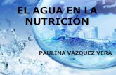 El agua en la nutrición