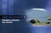 Los biomas-