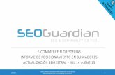 SEOGuardian - E-Commerce Floristerias en España - 6 meses después