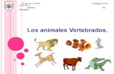 Presentación de animales vertebrados.