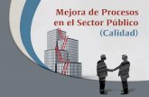 Mejora de procesos en el sector público 1.1.listo