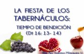 Fiesta de tabernaculos 13