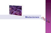 Mutaciones-biologia comun