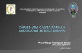 Caries y Endocarditis Bacteriana