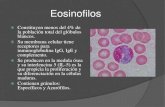 Eosinofilos Histologia