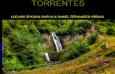 Torrentes (Luciano- Daniel)