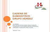 Grupo Hérdez- Cadena de suministro