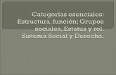 Categorías sociologicas y sociojurídicas. estratificación social. sesión 10