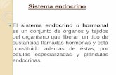Generalidades del sistema endocrino