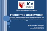 Arnao, M. Productos observables de experiencias curriculares UCV