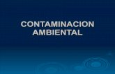 Contaminacion ambiental  mariela g (1)