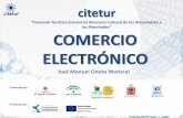 Proyecto CITETUR: Seminario sobre Comercio Electrónico (Guadix)