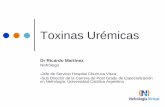 Toxinas Uremicas (Nefrologia Virtual)