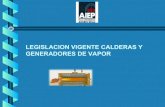 Generador de vapor_legislacion1[1]roro (1)