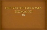 Equipo 3 genomahumano_3º1