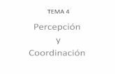 Tema 4 percepción y coordinación