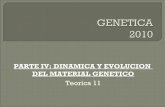Teorica 11 dinamica y evol del mat genetico