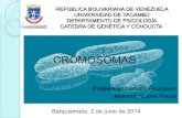 Cromosomas (Genética y Conducta 3)