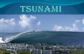 Trabajo cmc (tsunami)1