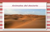 Animales del desierto por Eider