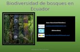 Biodiversidad de bosques en Ecuador