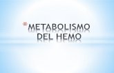 Metabolismo del hemo