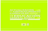 Actualización de la Reforma Curricular de Segundo año EGB