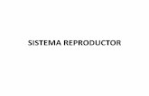 Powerpoint sistema reproductor
