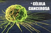 A célula cancerosa