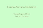 Grupo Antinao Solidario