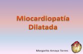 Patologia de Miocardiopatia dilatada