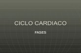 Ciclo Cardiaco [OLIVERA]