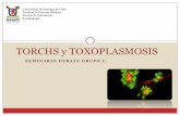 Toxoplasmosis ok