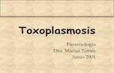 Toxoplasmosis 111211121612-phpapp01